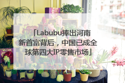 Labubu捧出河南新首富背后，中国已成全球第四大IP零售市场