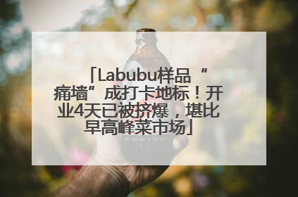 Labubu样品“痛墙”成打卡地标！开业4天已被挤爆，堪比早高峰菜市场