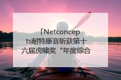 Netconcepts耐特康赛斩获第十六届虎啸奖“年度综合服务商”大奖